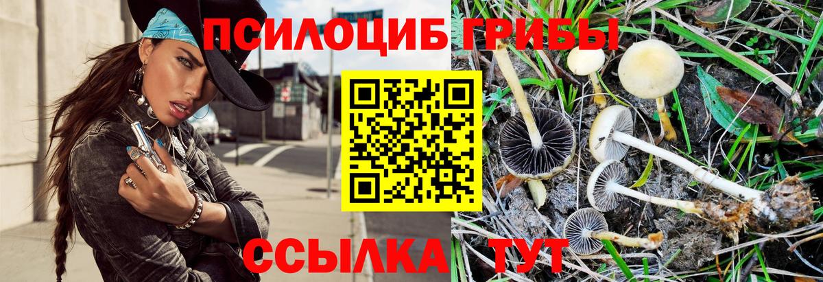 Гудермес  Галлюциногенные грибы ЛСД  Галлюциногенные грибы Psilocybe  дарнет шоп  Вход с VPN 